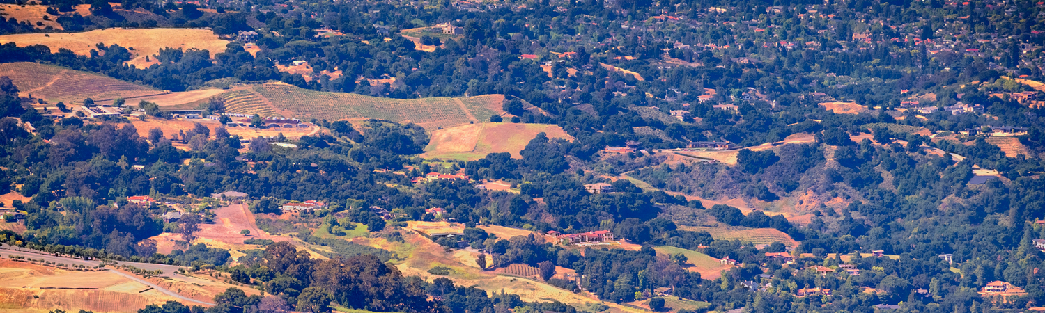 Banner image of Saratoga