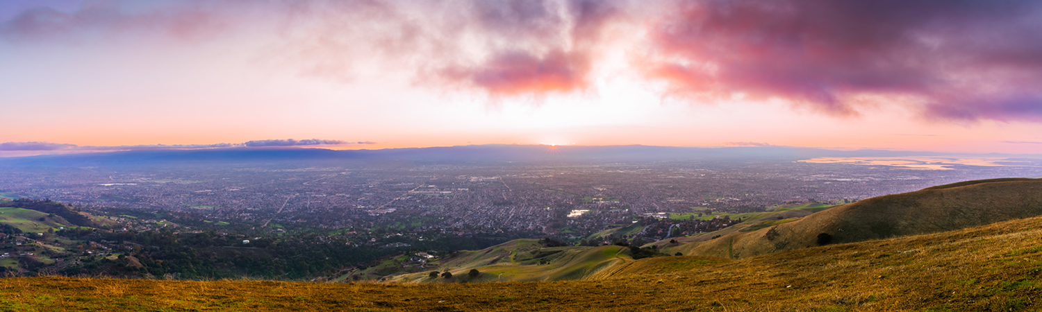 Banner image of Willow Glen